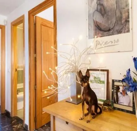 Apartment Penthouse With Private Roof Terrace And Jacuzzi Fuengirola